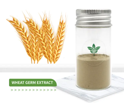 Wheat germ extract